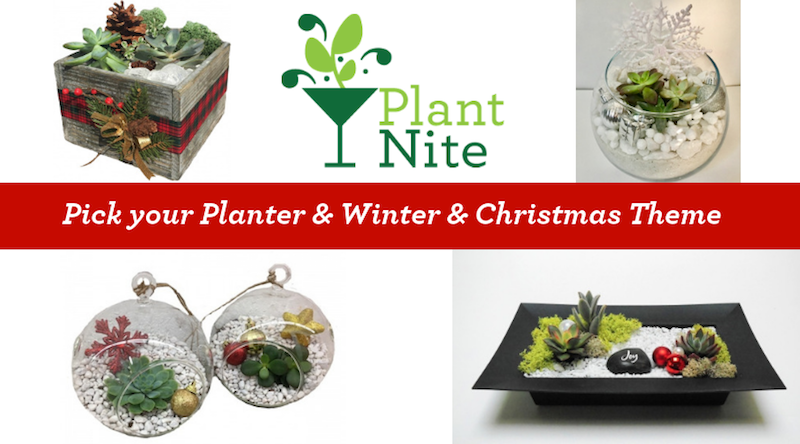 A Holiday Mash Up plant nite project by Yaymaker