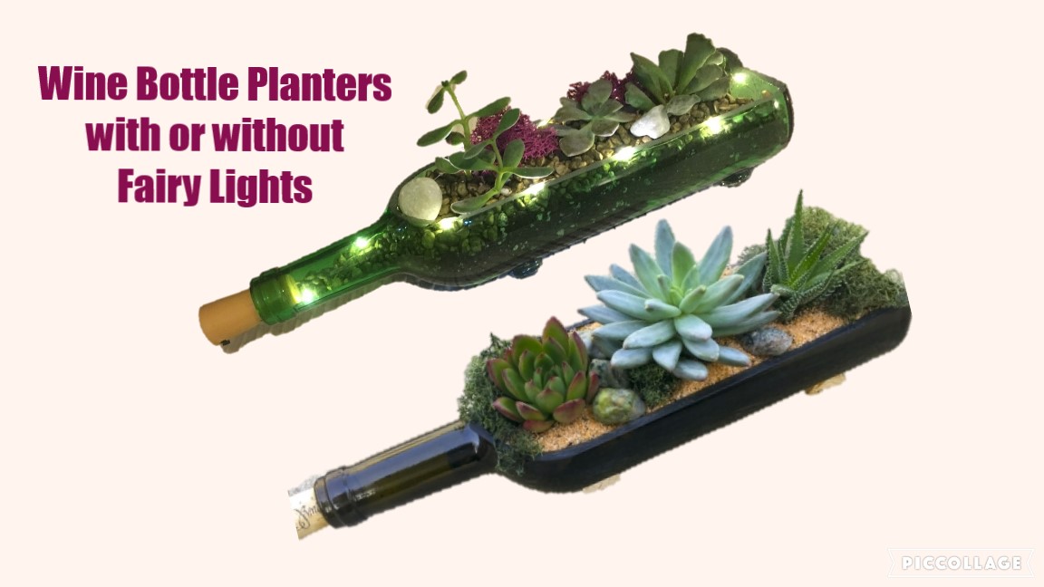 A Wine Bottle Planter with or without Fairy Lights plant nite project by Yaymaker