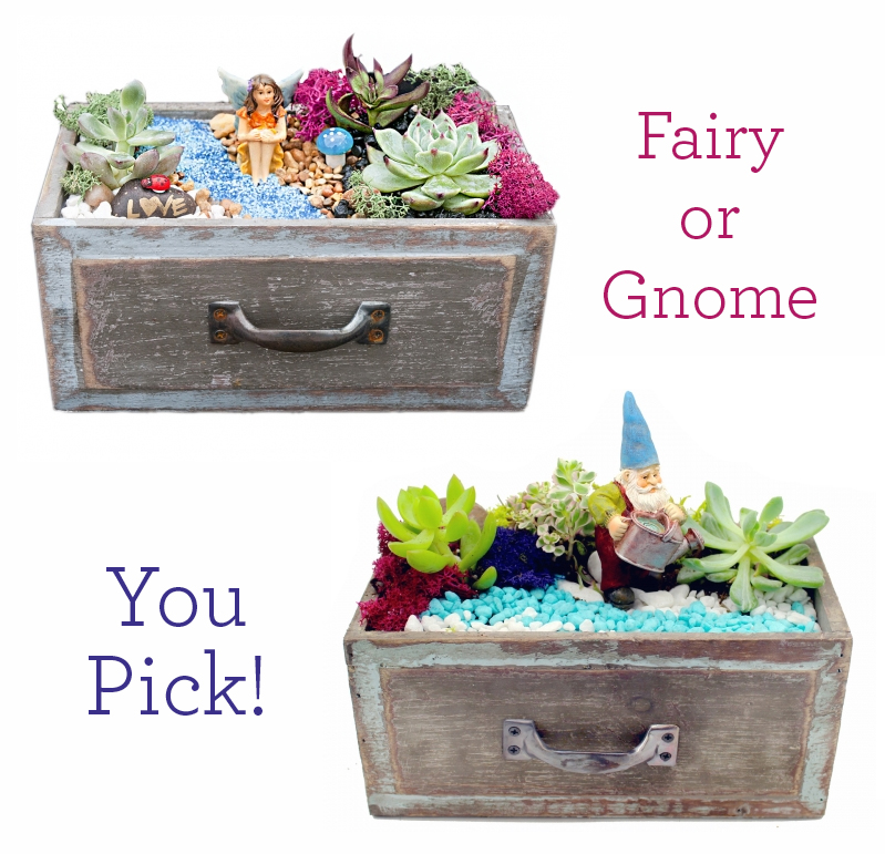 A You Pick Fairy or Gnome Succulent Garden plant nite project by Yaymaker