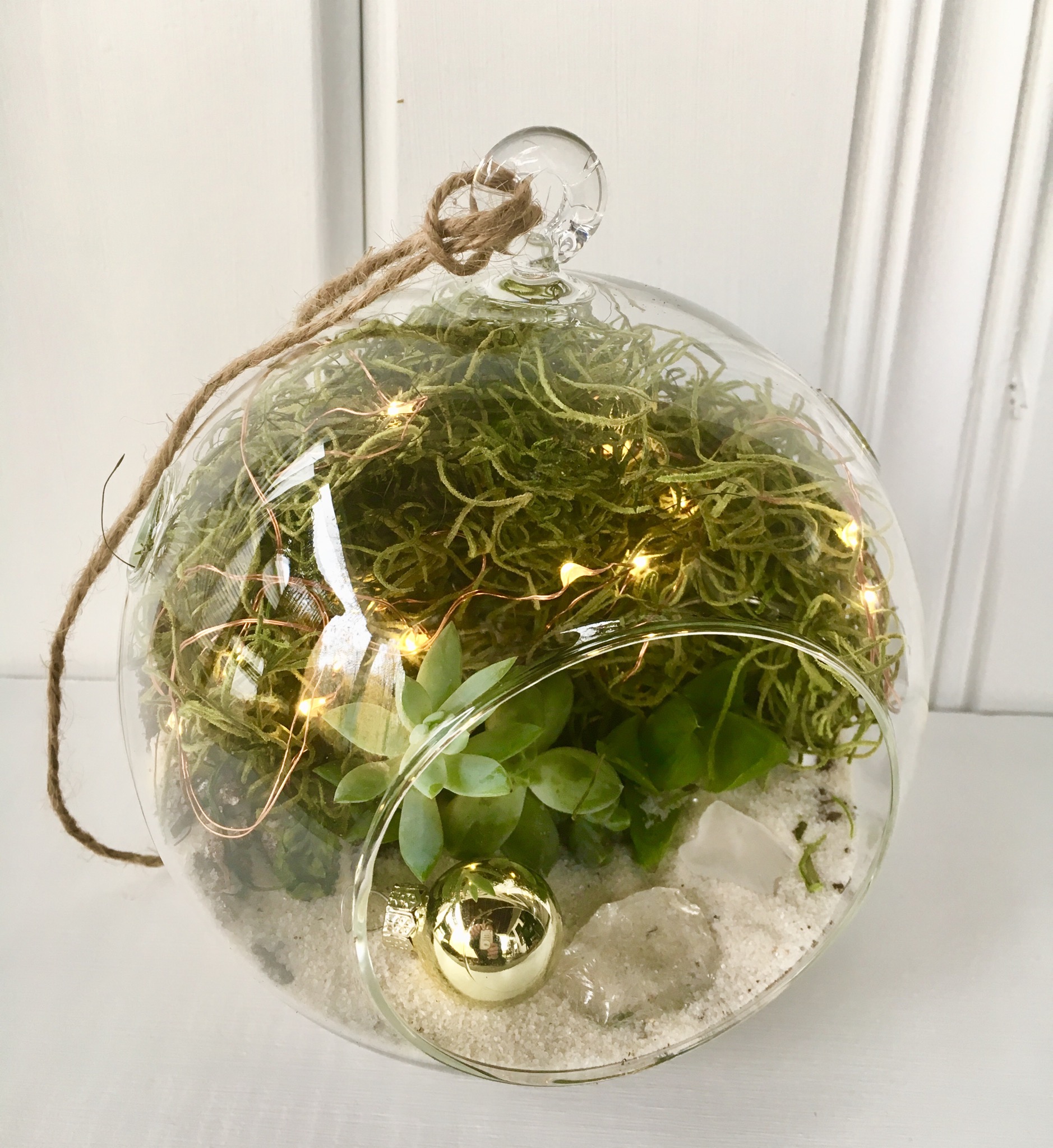 A Hanging Globe Succulent Terrarium w Fairy Lights  Ornament plant nite project by Yaymaker