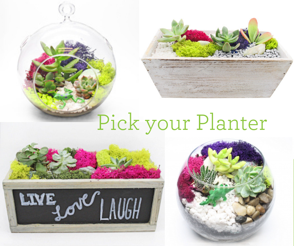A Pick Your Planter with glass or wood plant nite project by Yaymaker