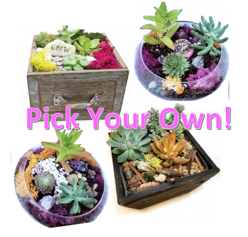A Pick Your Own Wooden or Glass Planter plant nite project by Yaymaker