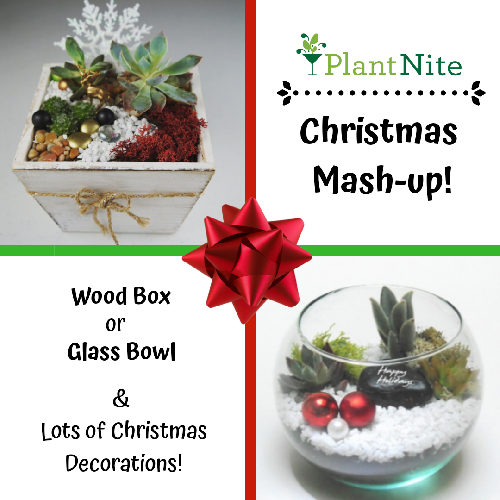 A Holiday Mash Up Event  Wood Box or Glass Bowl plant nite project by Yaymaker