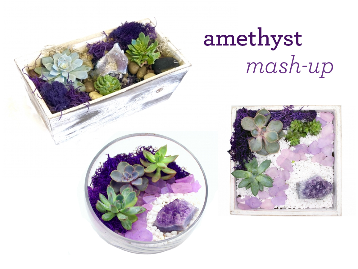 A Amethyst Planter MashUp Succulent Terrarium plant nite project by Yaymaker