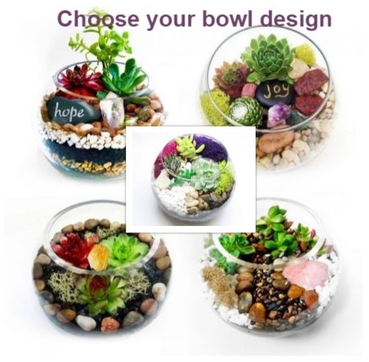 A Bowl Designs plant nite project by Yaymaker