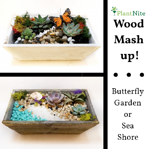 A Wood Container Mash Up Sea Shore or Butterfly Garden plant nite project by Yaymaker