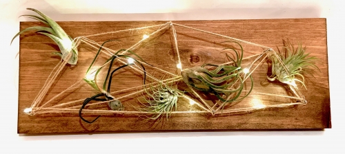 A Wood Board String Art with Fairy Lights and Air Plants plant nite project by Yaymaker