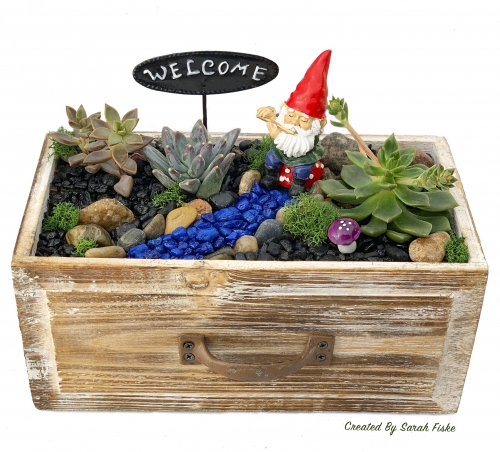A Gnome in Wooden Drawer plant nite project by Yaymaker
