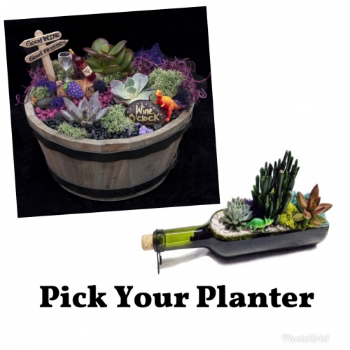 A Wine Bottle or Whiskey BarrelPick Your Planter plant nite project by Yaymaker