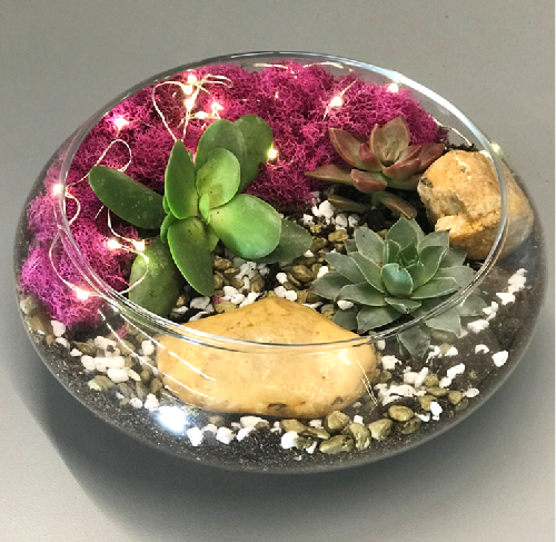 A Lily Bowl with Large Rocks  Fairy Lights plant nite project by Yaymaker