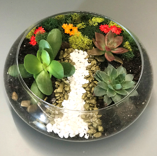 A Flower Path Lily Bowl Terrarium plant nite project by Yaymaker
