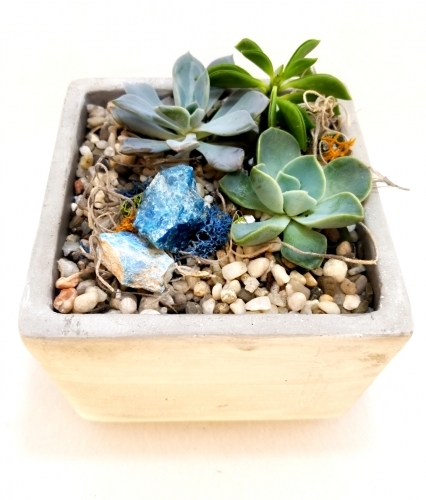 A Succulents with Blue Apatite Gemstone plant nite project by Yaymaker