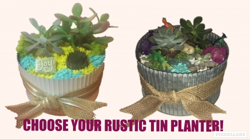 A Choose Your Tin Planter plant nite project by Yaymaker
