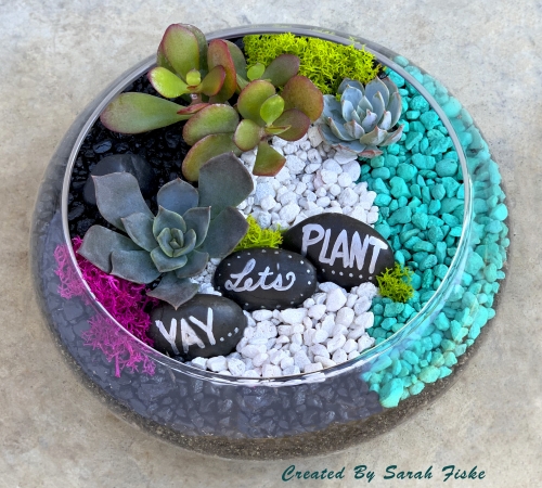 A YAY Lets Plant in Lily Bowl plant nite project by Yaymaker