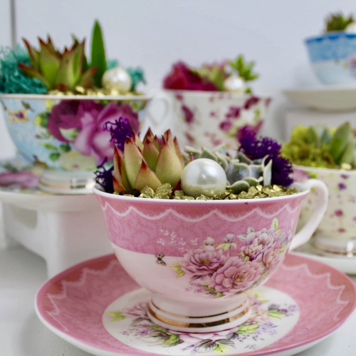 A Terrarium Tea Party for Two  Choose Two Teacups plant nite project by Yaymaker