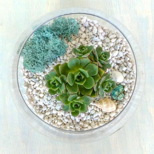 A Glass Succulent Terrarium II plant nite project by Yaymaker