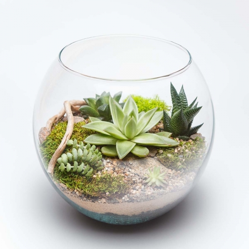 A Glass Succulent Terrarium III plant nite project by Yaymaker