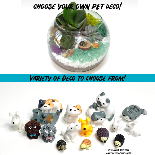 A Choose your Deco Rose Bowl  Pets plant nite project by Yaymaker