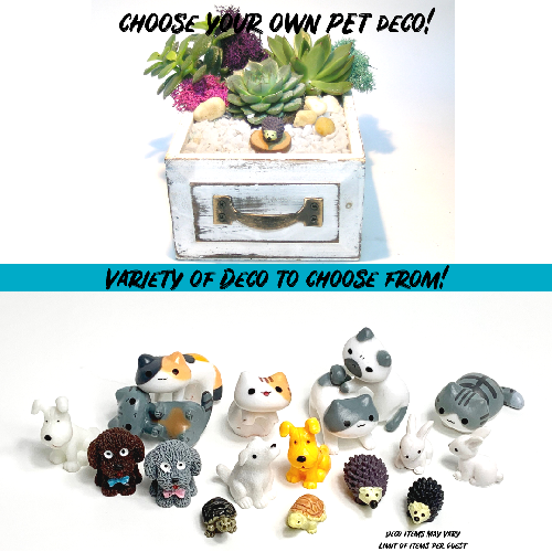 A Choose your Deco Drawer  Pets plant nite project by Yaymaker