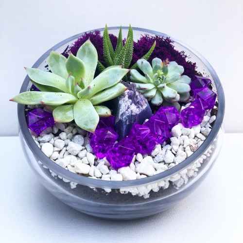 A Purple Majesty Amethyst Terrarium plant nite project by Yaymaker