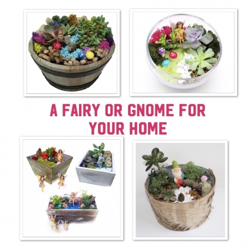 A Gnome  Fairy PickYourPlanter plant nite project by Yaymaker