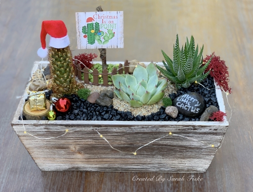 A Have a Merry Cactus plant nite project by Yaymaker