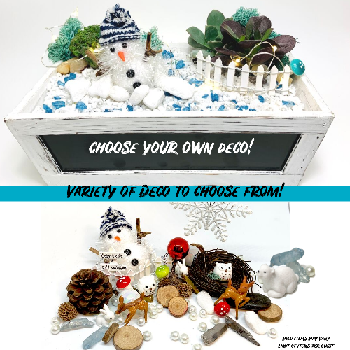 A Choose Your Own Deco  Winter Theme plant nite project by Yaymaker