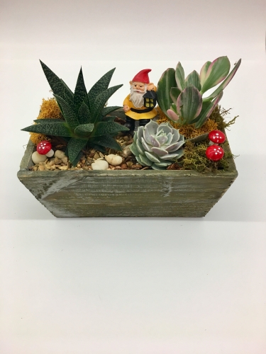A Gnome Home plant nite project by Yaymaker