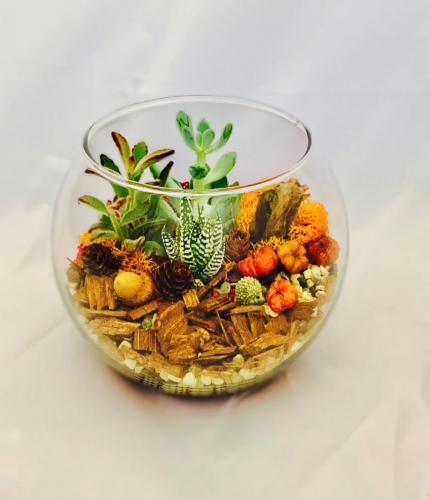 A Fall into Autumn Rose Bowl plant nite project by Yaymaker