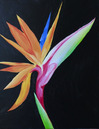 A Colorful Bird of Paradise paint nite project by Yaymaker