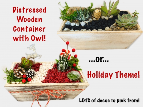 A Holiday Theme or Owl experience project by Yaymaker