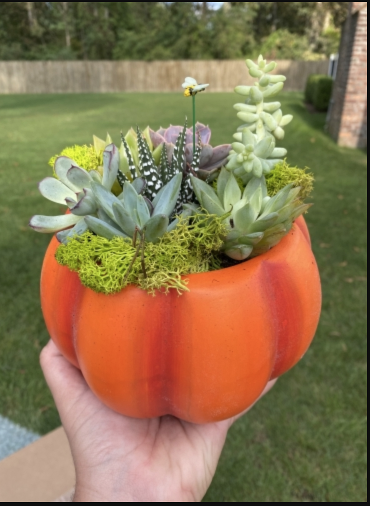 A Ceramic Pumpkin I experience project by Yaymaker