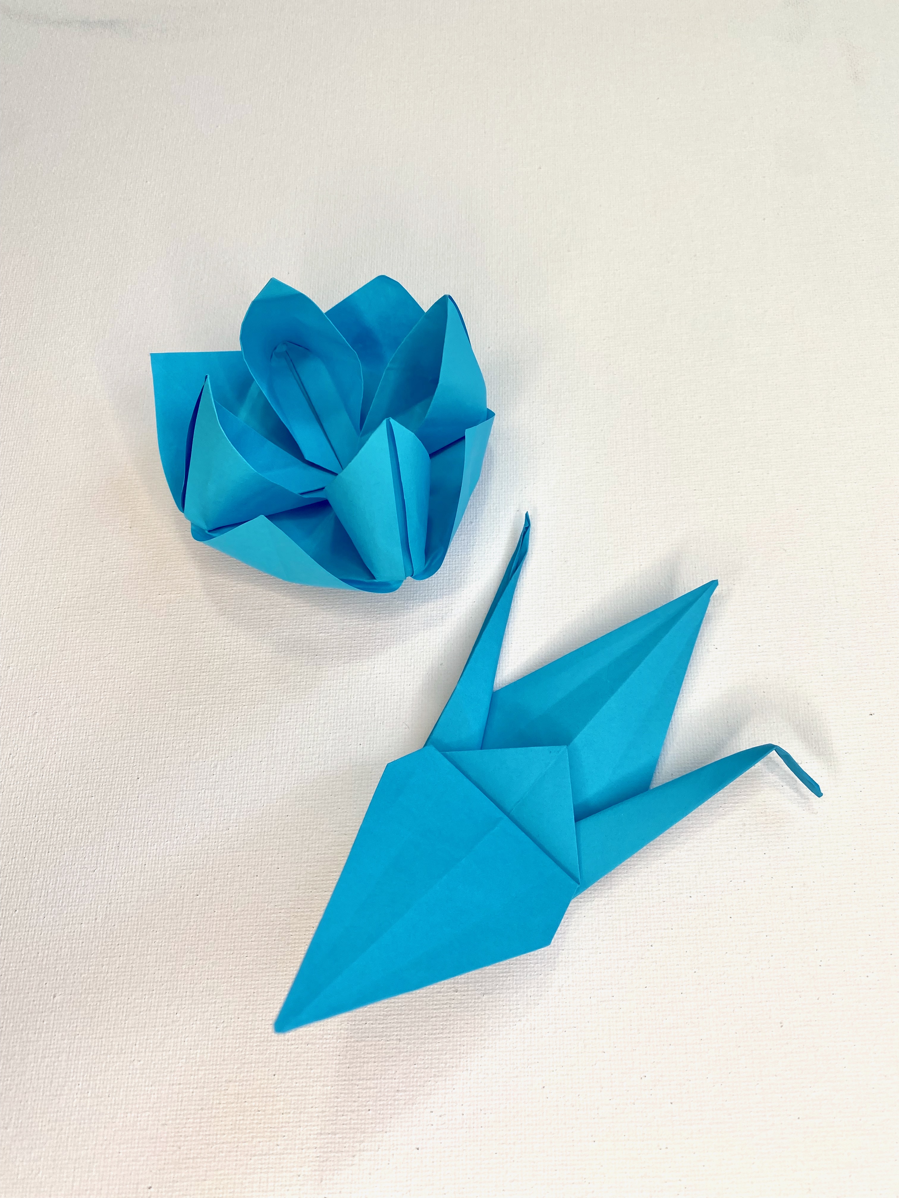A Origami Nite Crane  Lotus experience project by Yaymaker