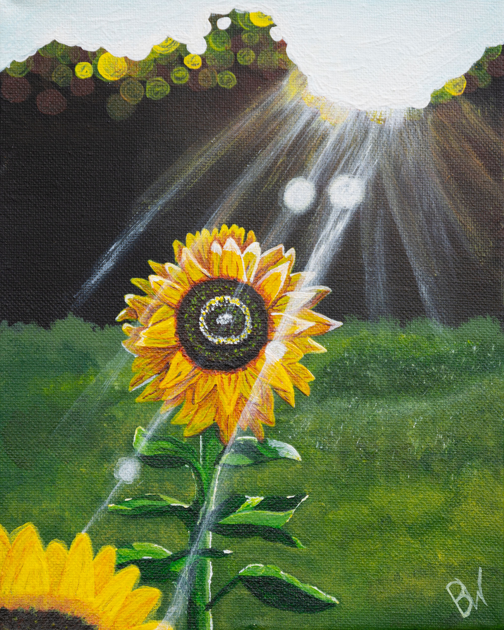 A Sunbeam Over Sunflower experience project by Yaymaker