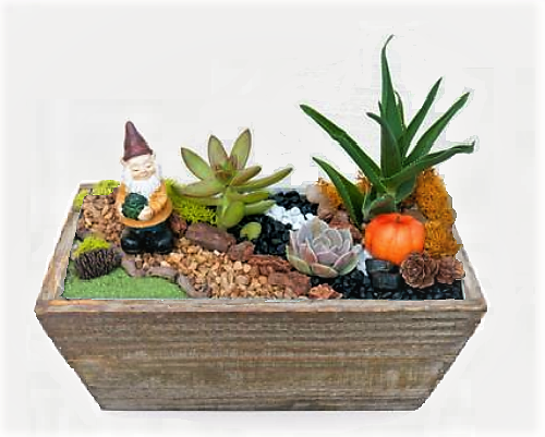 A Grateful Gnome Planter Home experience project by Yaymaker