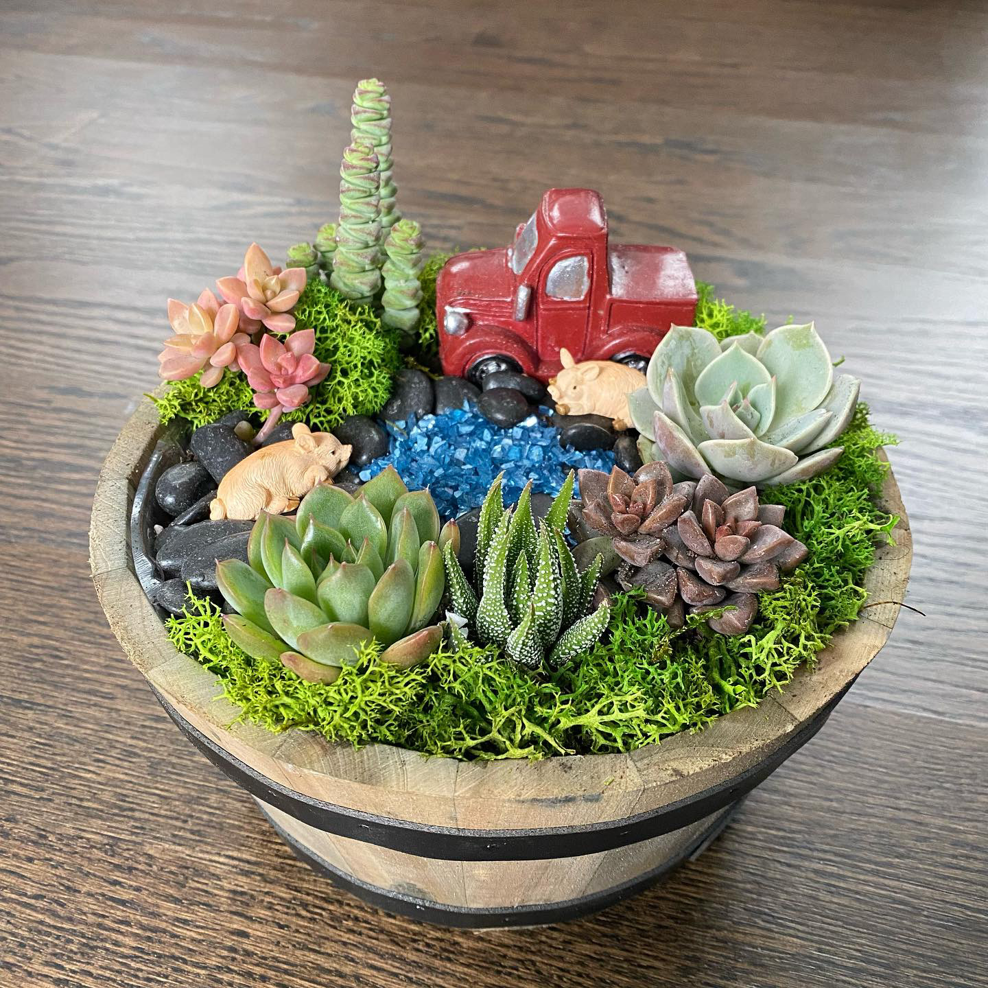 A Premium Farmhouse Succulent Garden  experience project by Yaymaker