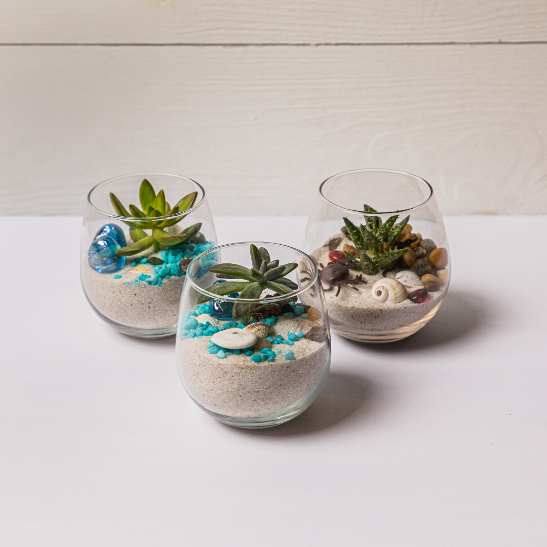 A Wine Glasses Succulent Trio II experience project by Yaymaker