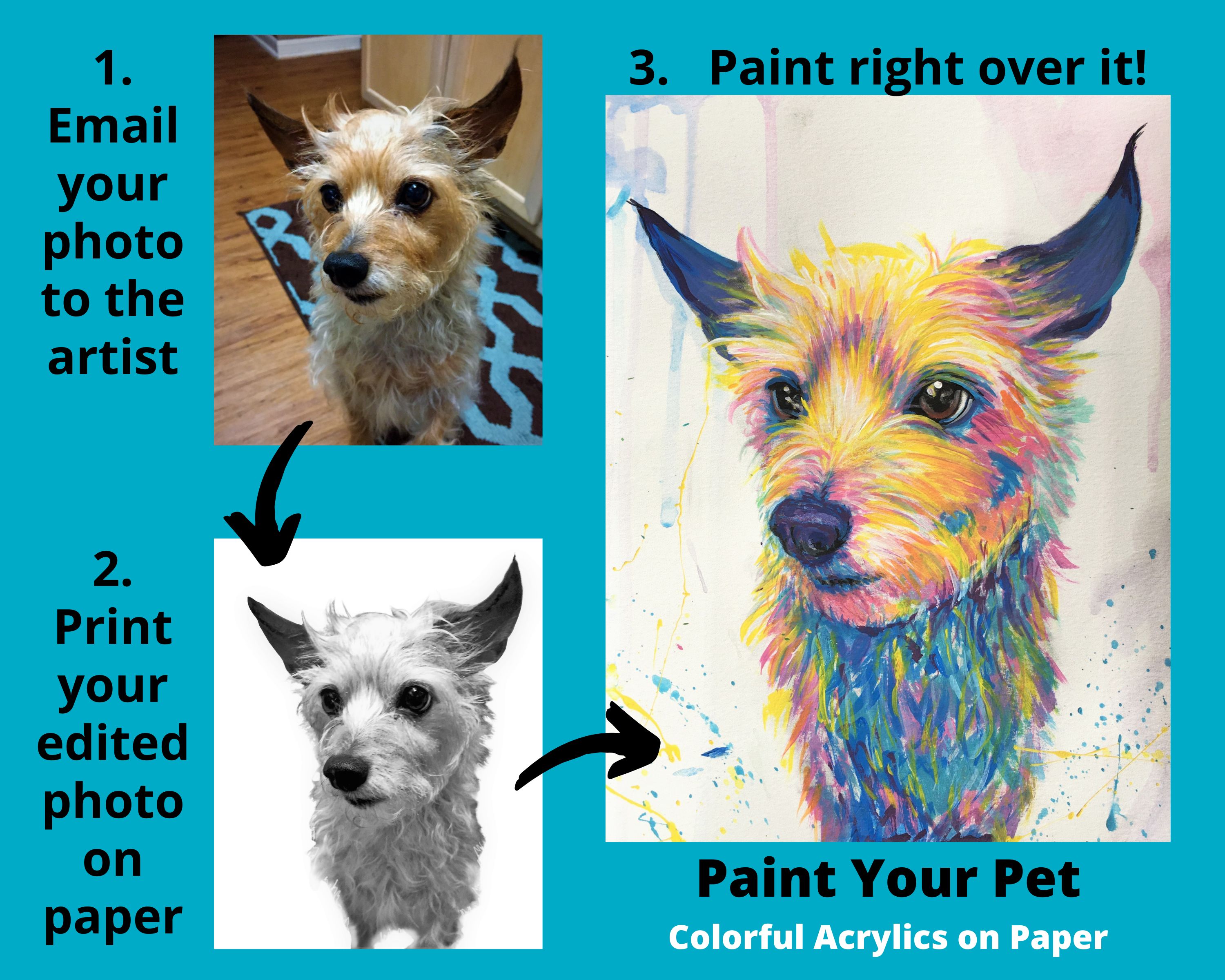 A Paint Your Pet with Colorful Acrylics on Paper experience project by Yaymaker