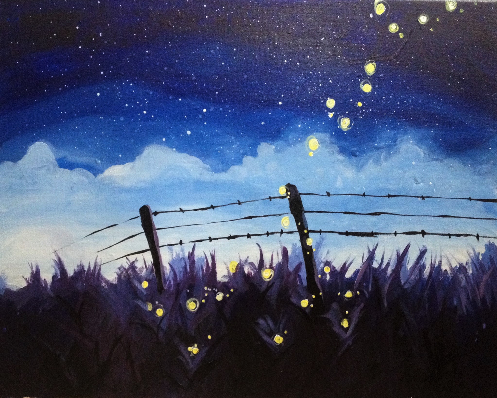 A Fireflys and Starry Skies paint nite project by Yaymaker