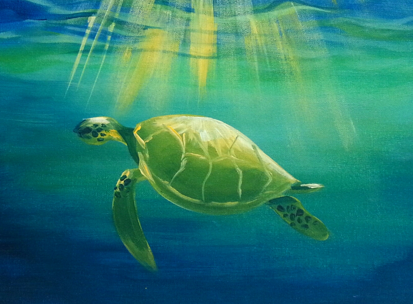 A Serene Sea Turtle paint nite project by Yaymaker