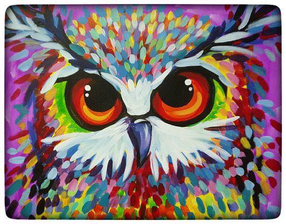A Owl Colorful experience project by Yaymaker
