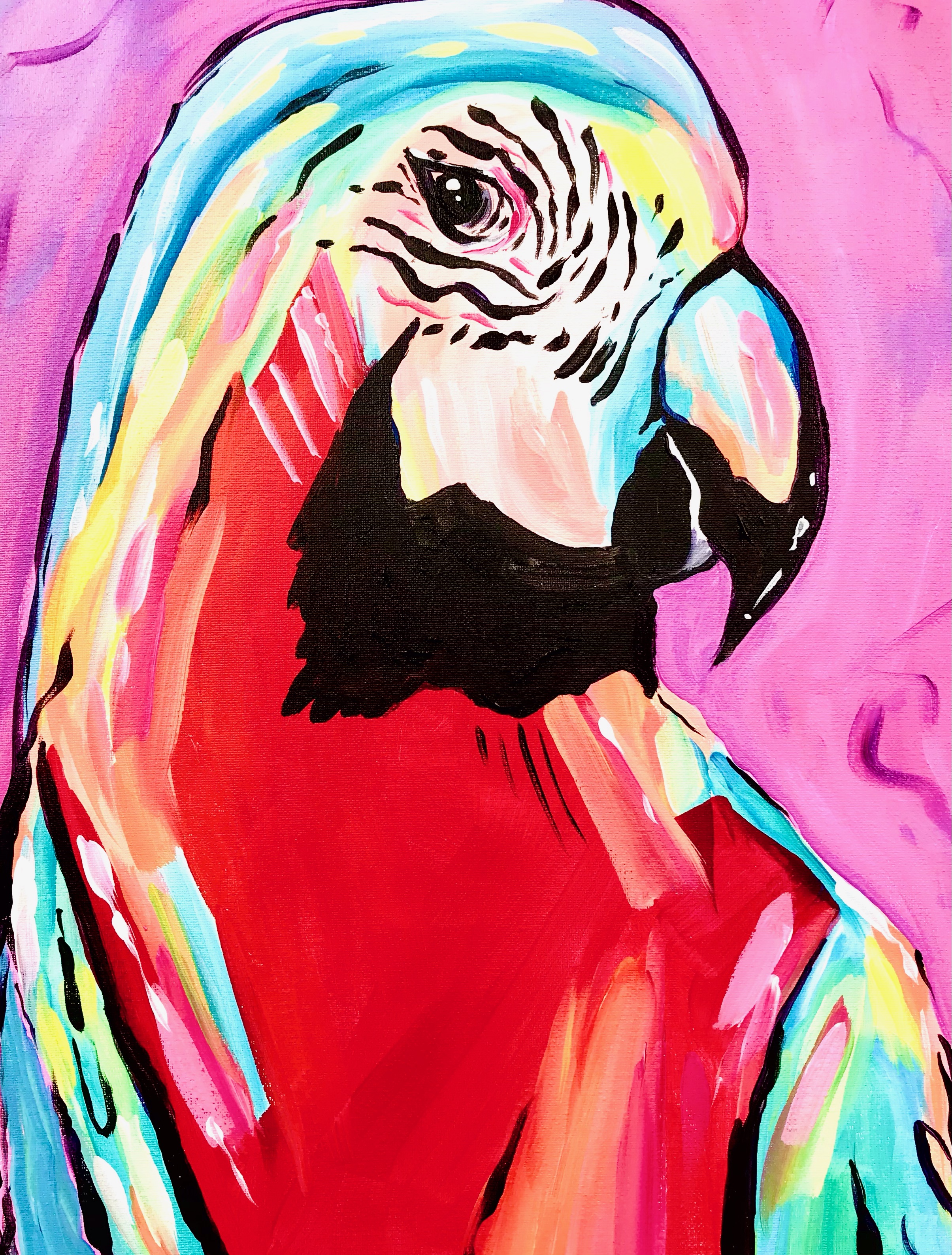 A Rainbow Parrot experience project by Yaymaker