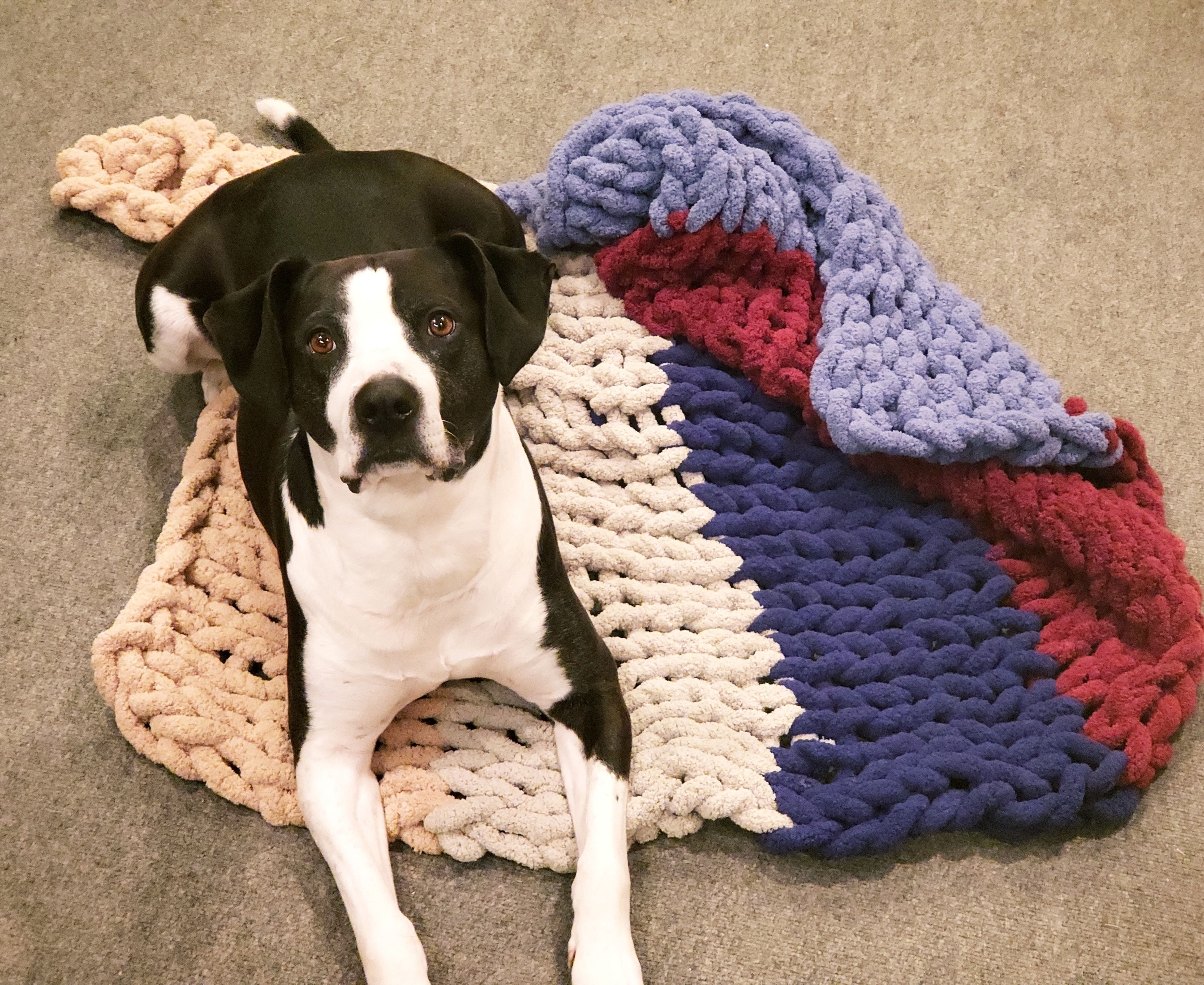 A Doggie chunky blanket workshop experience project by Yaymaker