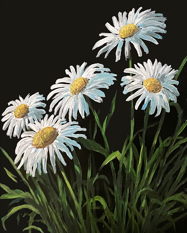 A Wild Spring Daisies experience project by Yaymaker
