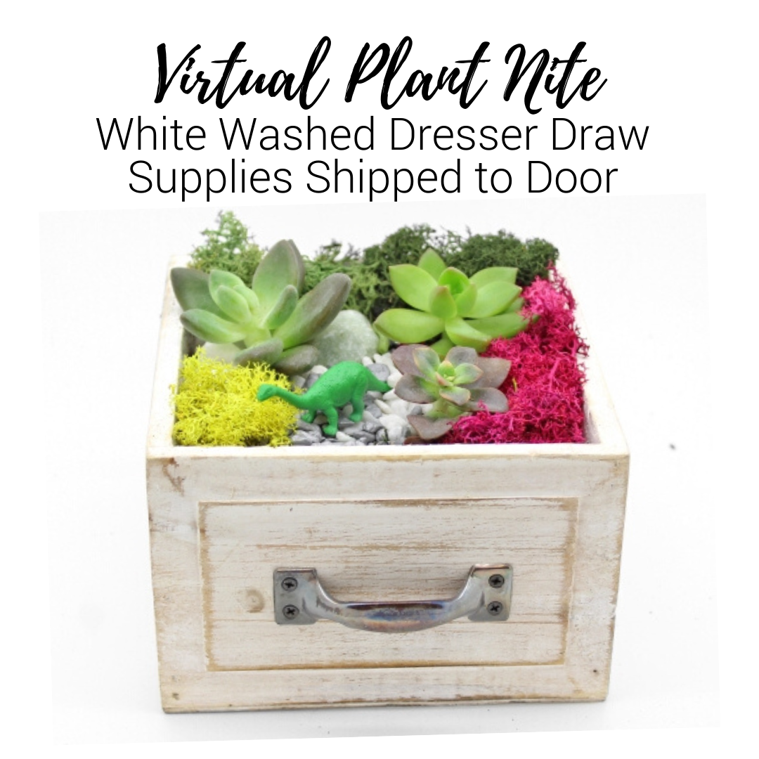 A Virtual Plant Nite White Wash Draw Supplies Shipped to Door experience project by Yaymaker