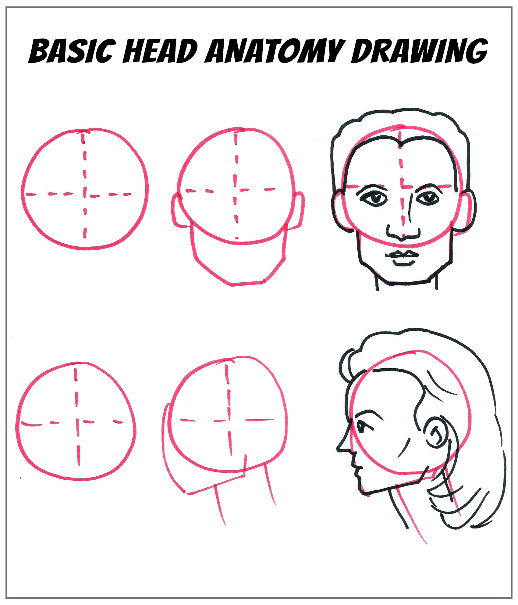 A Basic Head Anatomy  Virtual Event experience project by Yaymaker