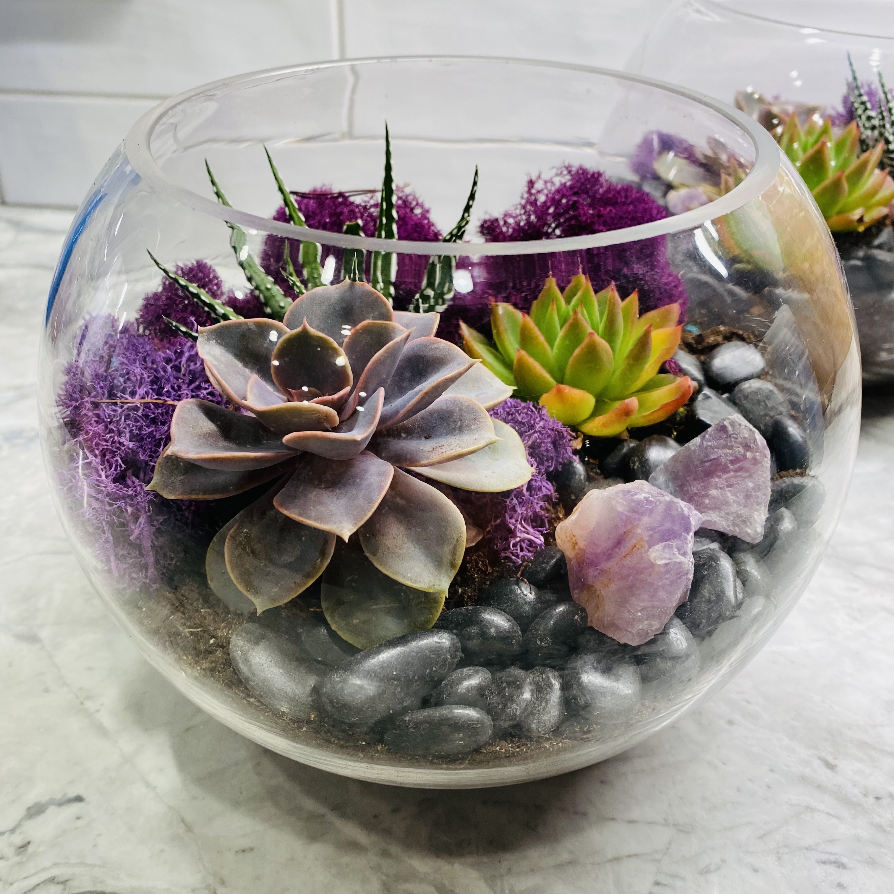 A Rose Bowl Amethyst Succulent Garden  experience project by Yaymaker