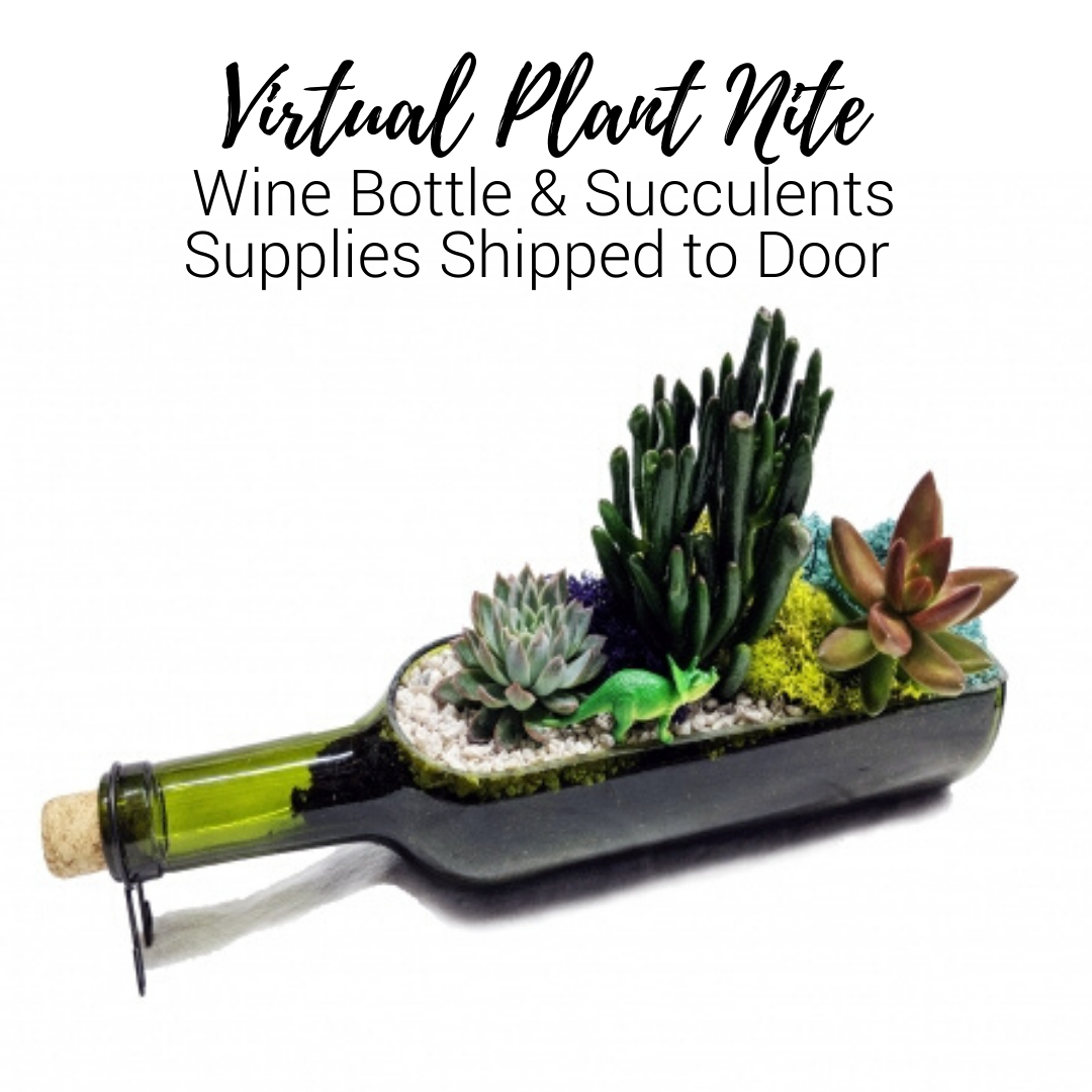 A Virtual Plant Nite Wine Bottle Terrarium Supplies Shipped to Door experience project by Yaymaker
