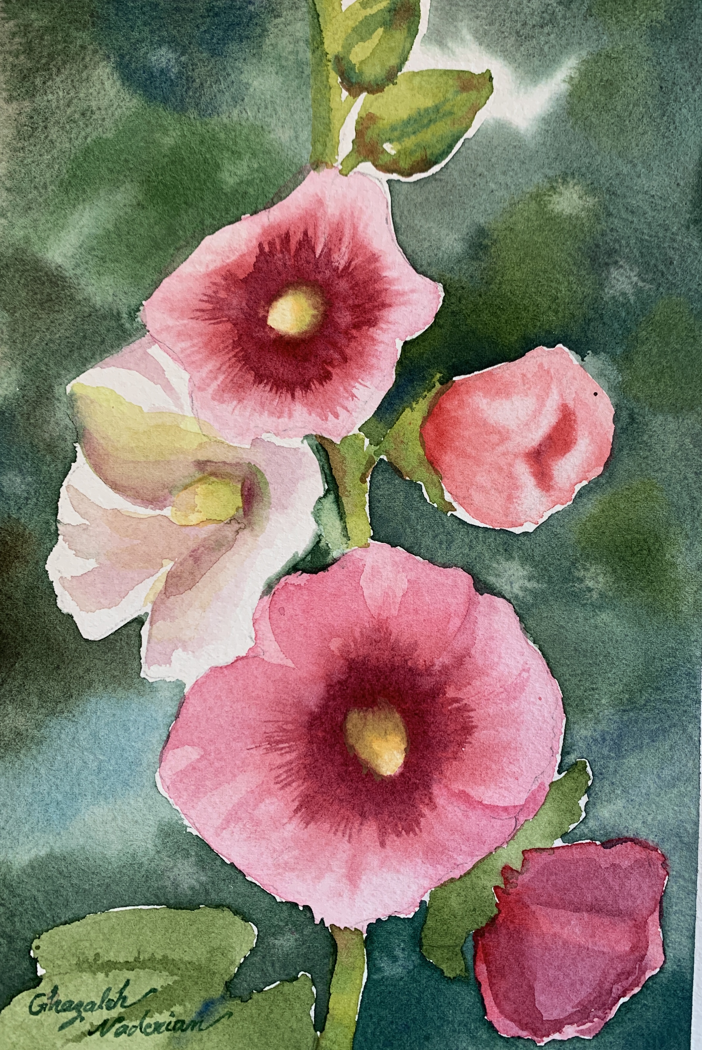 A Beauty of Hollyhocks experience project by Yaymaker