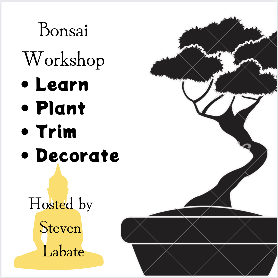 A Bonsai Making Work Shop with Seasonal Bonsai experience project by Yaymaker